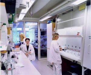 Un estudio revela una nueva forma de utilizar virus para combatir el cáncer