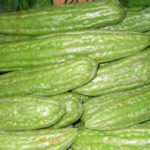 El melón amargo es común en la India y China y se muestra prometedor contra el cáncer de mama