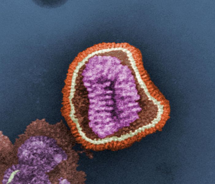 Los virus son los culpables de las mayores pandemias y siguen poniendo en jaque a los científicos